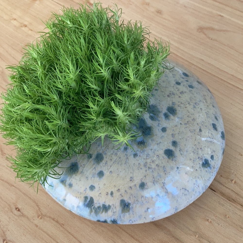 Hand made pottery saucer shaped vase vintage